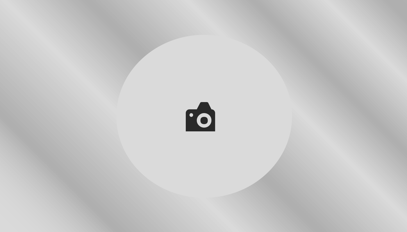 Découverte des comportements nocturnes des petits mammifères